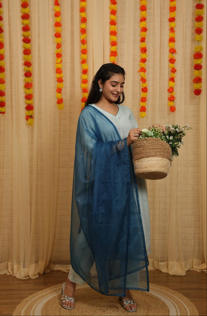 Niva Malai Chanderi Hand Work Suit